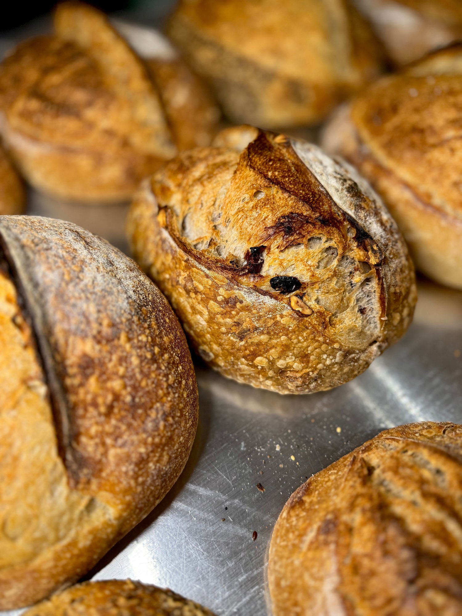 Sourdough Loaves