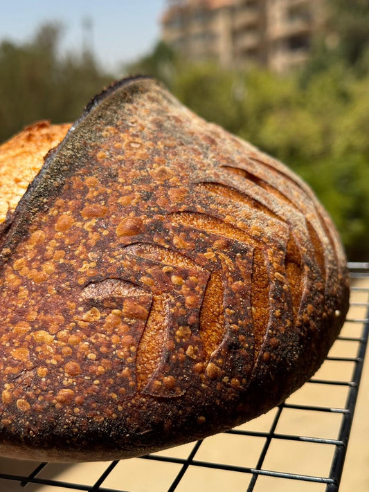 50/50 Sourdough Loaf