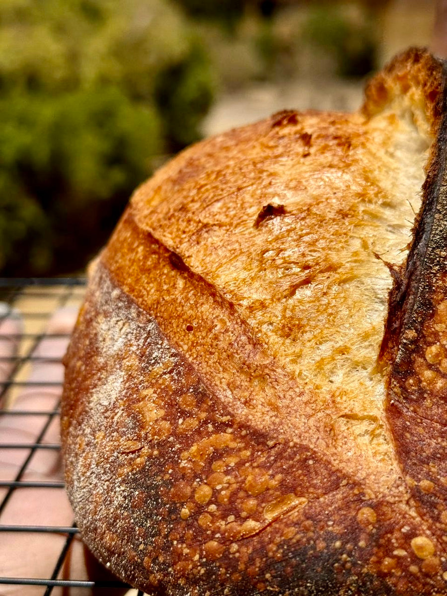 Classic Sourdough Loaf