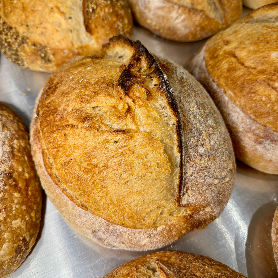 Whole Wheat Sourdough Loaf
